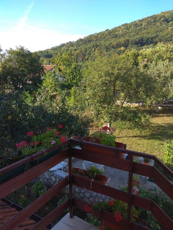 Apartman U Bukovickoj Banji Arandjelovac Dış mekan fotoğraf